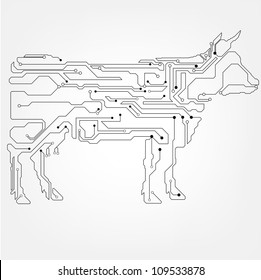 agriculture, beefs