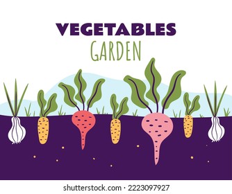 Agriculture beetroot carrot onion vegetables root abstract concept. Vector graphic design element illustration