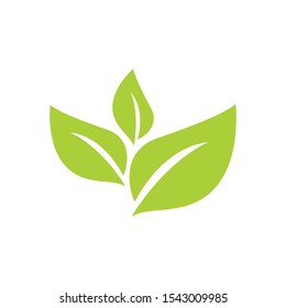 agriculture botany green tea leaf vector logo design template