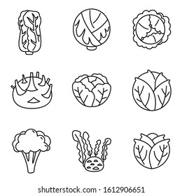 Agriculture cabbage icons set. Outline set of agriculture cabbage vector icons for web design isolated on white background