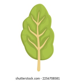 Agriculture chard icon cartoon vector. Green plant. Nature leaf