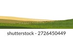 Agriculture collage texture background with layout and patterns. Japanese field collage with agriculture texture and green plantation pattern for abstract farm background. Eco friendly banner.