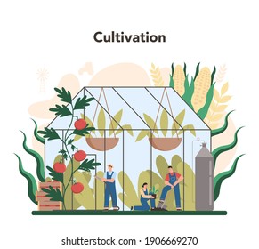 Agriculture concept. Farming food cultivation and production. Village vegetables and fruits planting. Countryside nature. Isolated flat illustration