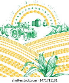 Agriculture corn field vector illustration