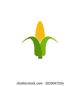 Agriculture corn vector icon design template