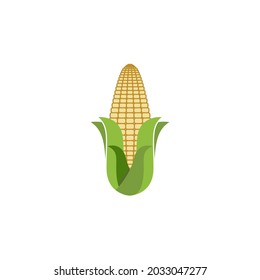 Agriculture corn vector icon design template