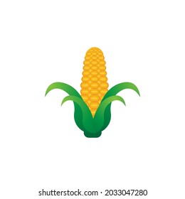 Plantilla de diseño de iconos de vectores de maíz agrícola
