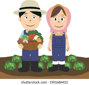 Agriculture, couple farmer harvesting vegetables, harvest season