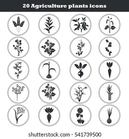 Agriculture crops icons set