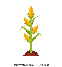 agriculture cultive isolated icon vector illustration design