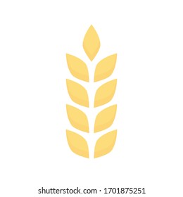 Agriculture ears of wheat illustration isolated on white