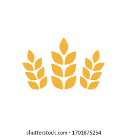 Agriculture ears of wheat illustration isolated on white