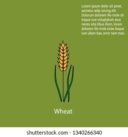 Agriculture. Ears of wheat. Waiting for harvest. grain elevator.Vector design of wheat and stalk symbol. Set of wheat and grain stock symbol for web.