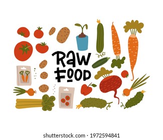 Agriculture elements set, different cultivated plants, wholesome organic food with seeds and sprouts. Hand drawn flat style vector illustration isolated on white with lettering Raw food.