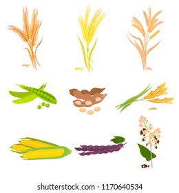 Agriculture farm with fresh healthy tasty organic bread food. Vector illustration