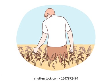 Landwirtschaft, Landwirtschaft, Erntekonzept. Junge agronomistische Farmer-Cartoon-Charakter, die auf dem goldenen Weizenfeld stehen, das Roggenohr hält. Erntezeit für Gerste oder Getreide