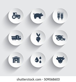 Agriculture, farming icons set, cattle, pigs, hangar, combine harvester, agrimotor, vegetables