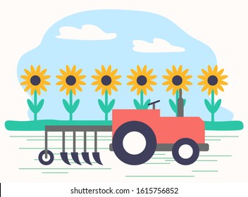 Agriculture and farming, machinery working on field with sunflowers. Farmland harvesting season. Mechanical harvester, automated helper to cultivate soil. Horticulture technologies, vector in flat