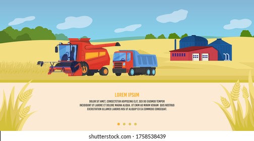 Agriculture farming vector illustration. Cartoon flat agricultural agrarian tractors and combine harvesters working in cultivated organic farm fields, countryside landscape, wheat harvest background svg