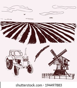 Agriculture field