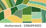 Agriculture field pattern, aerial view. Countryside grassland, farm land from top. Geometric farmland patches, padded mosaic country background, natural patchwork texture. Flat vector illustration