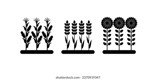 Agriculture fields icons, farm lands symbols. Concept of countryside, plants on plantation. Set of vector cartoon black silhouettes of wheat, sunflowers and corn isolated on white background