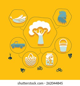 agriculture flat infographic
