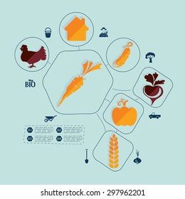 agriculture flat infographic