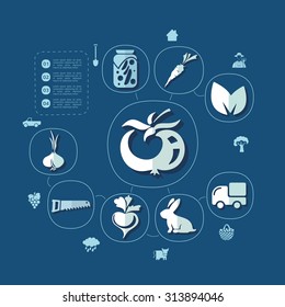 agriculture flat infographic