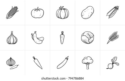 Agriculture Food Sketch Icon Set For Web, Mobile And Infographics. Hand Drawn Agriculture Food Vector Icon Set Isolated On White Background.