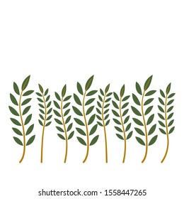 Agriculture green wheat Logo Template vector