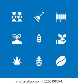 agriculture icon. 9 agriculture set with sprout, growth, farming and gardening and weed vector icons for web and mobile app