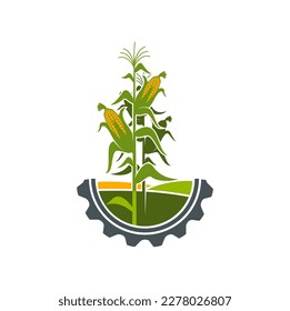 Agriculture icon, field of corn in cogwheel circle, farmland and farmhouse vector symbol. Corn harvest with cobs on green plant emblem for agriculture and agrarian industry or farming technology