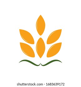 Agriculture icon with a field of golden ripe ears of wheat logo providing a staple dietary grain and animal feed, vector illustration isolated on white
