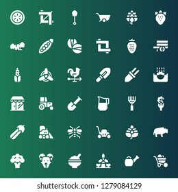 agriculture icon set. Collection of 36 filled agriculture icons included Wheelbarrow, Watering can, Windmill, Rice, Goat, Broccoli, Bison, Hop, Lawn mower, Wasp, Bulldozer, Courgette