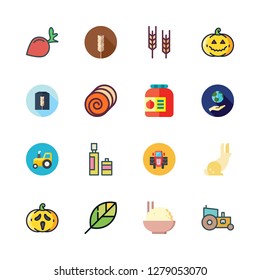 agriculture icon set. vector set about wheat, radish, pumpkin and wheat flour icons set.