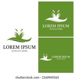 Agriculture icon and symbol vector template