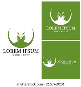 Agriculture icon and symbol vector template