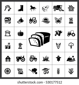 Agriculture Icon Vector Illustration
