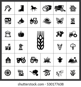 Agriculture Icon Vector Illustration