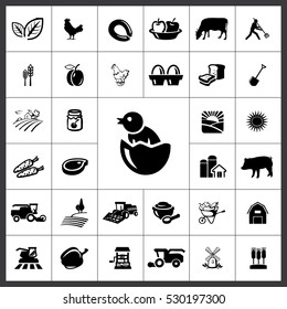 Agriculture Icon Vector Illustration
