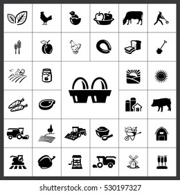 Agriculture Icon Vector Illustration