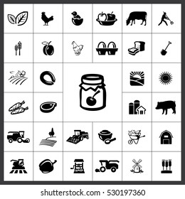 Agriculture Icon Vector Illustration