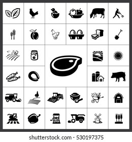 Agriculture Icon Vector Illustration