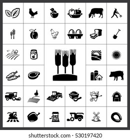 Agriculture Icon Vector Illustration