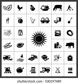 Agriculture Icon Vector Illustration