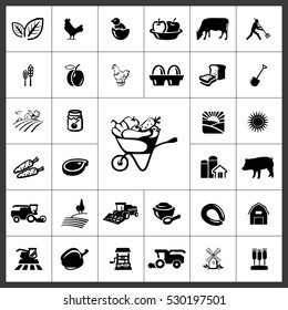 Agriculture Icon Vector Illustration