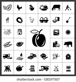 Agriculture Icon Vector Illustration