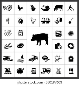 Agriculture Icon Vector Illustration