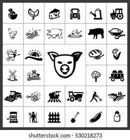 Agriculture Icon Vector Illustration